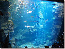 Kyoto Aquarium