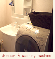 dresser and washing machine
